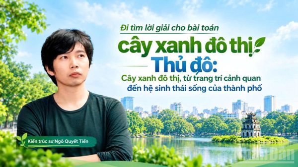 Cây xanh đô thị, từ trang trí cảnh quan đến hệ sinh thái sống của thành phố