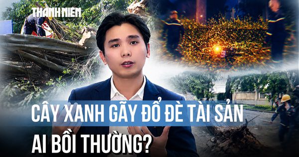 Cây xanh gãy đổ làm hư hỏng tài sản, ai bồi thường?