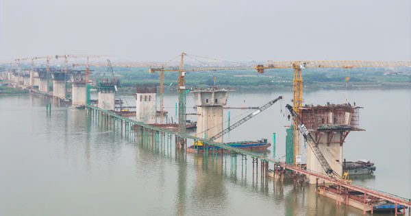CC1 ghi nhận doanh thu tăng trưởng tích cực trong 9 tháng năm 2026