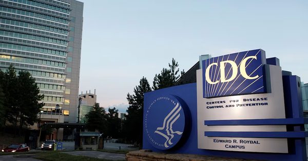 CDC: Bệnh nhiễm nấm xâm nhập não gây tử vong cao đang tăng tại Mỹ