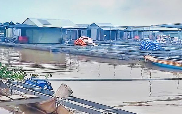 Cha cứu con bị điện giật rồi cùng rơi xuống sông mất tích