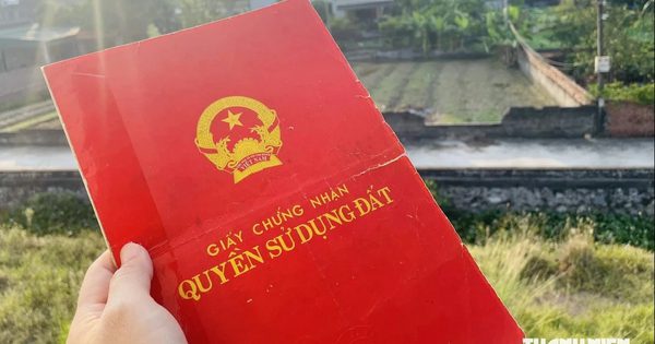 Cha mẹ mất sớm, con có được chia thừa kế nhà đất của ông bà?