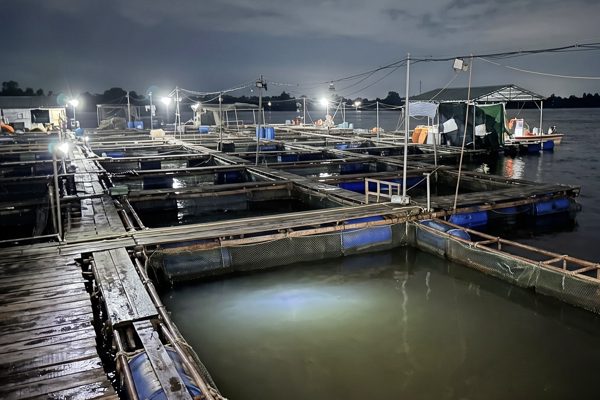 Cha nắm tay cứu con trai bị điện giật, cả hai rơi xuống sông mất tích