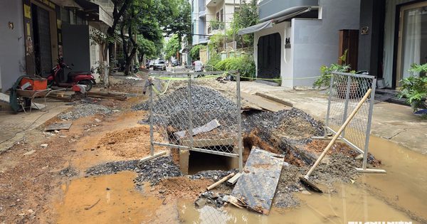 Chấn chỉnh thi công vỉa hè ở Đà Nẵng, lo ảnh hưởng cây xanh trong mùa mưa