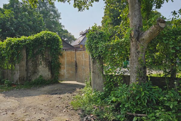 Chấn chỉnh việc thu tiền, giao chìa khóa để khách tự tham quan mộ Vua Voi