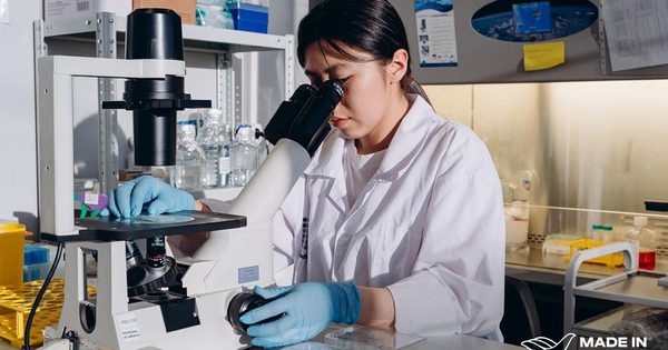 Chẩn đoán bắt đầu từ phòng thí nghiệm: ‘PrimeBioMed’ giới thiệu các chất phản ứng của Nga