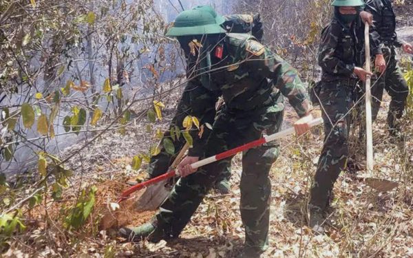Cháy rừng cạnh đô thị Quy Nhơn, 60ha rừng trồng bị ảnh hưởng