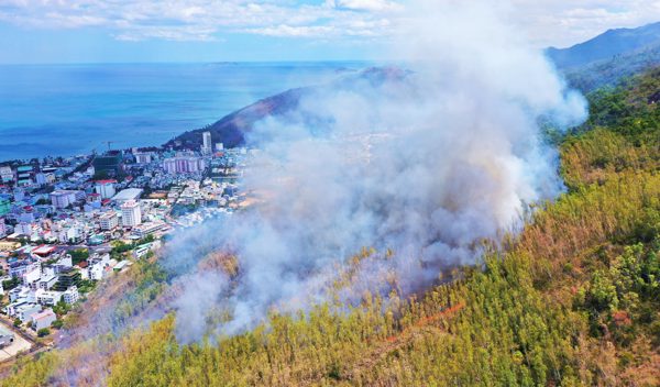 Cháy rừng phòng hộ tại Quy Nhơn, hàng trăm người tham gia dập lửa
