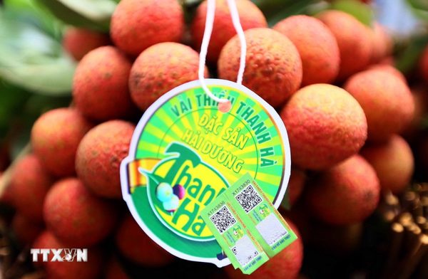 Chỉ dẫn địa lý và nhãn hiệu tập thể: Hộ chiếu cho nông sản Việt Nam