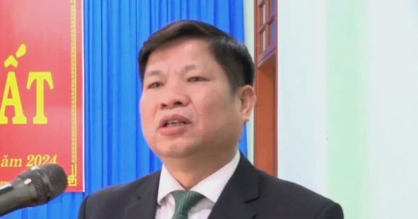 Chiêu 'bật đèn xanh' để nhà thầu nâng khống giá trị hợp đồng cây xanh của 3 nguyên Chủ tịch huyện ở Quảng Trị