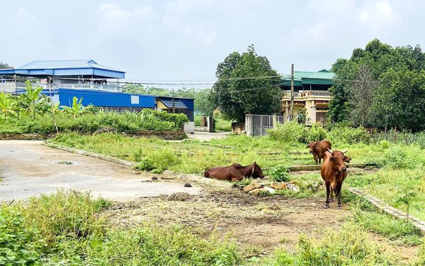 Chính phủ đề xuất không thu thuế sử dụng đất phi nông nghiệp với đất lấn chiếm