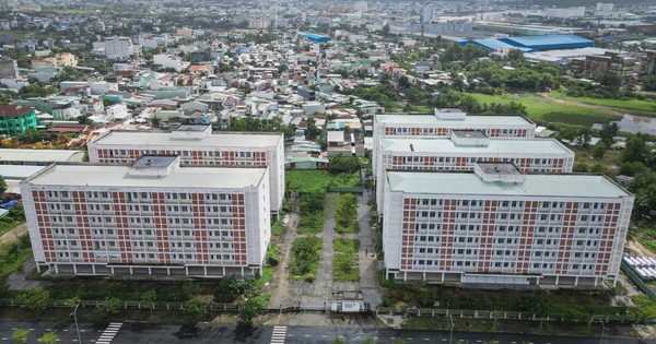 Chính phủ giao chỉ tiêu phát triển nhà ở xã hội, nhà ở cho thuê cho địa phương