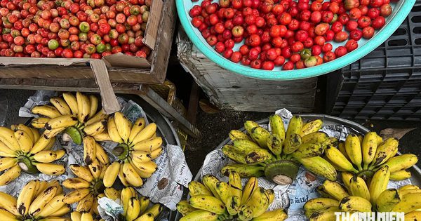 Chợ cóc TP.HCM: 10.000 đồng/kg cà chua, 24.000 đồng/chục trứng, sinh viên 'mê' vì quá rẻ