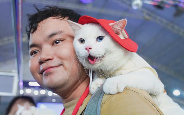 Chó mèo hóa trang Halloween, ai là quán quân?