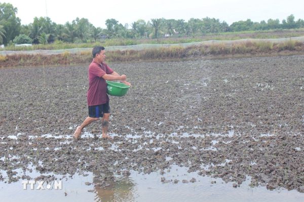 Chủ động ứng phó El Nino, bảo đảm sản xuất vụ Đông Xuân 2026-2027