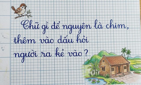 Chữ gì để nguyên là chim, thêm vào dấu hỏi người ra kẻ vào?