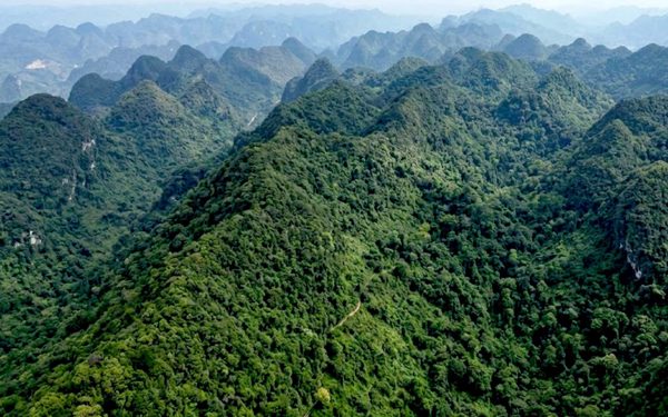 Chủ tịch Quảng Trị muốn dùng thiết bị bay không người lái giám sát rừng Phong Nha - Kẻ Bàng