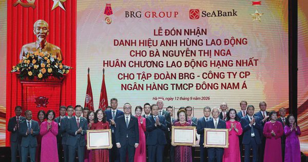Chủ tịch Tập đoàn BRG Nguyễn Thị Nga nhận danh hiệu Anh hùng Lao động thời kỳ đổi mới