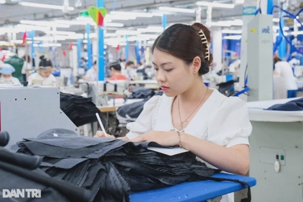 Chủ tịch UBND xã có quyền phạt đến 50 triệu đồng hành vi vi phạm lao động