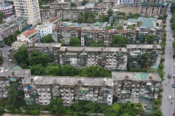 Chung cư gần 50 năm tuổi ở Nghệ An trơ cốt thép, rễ cây bám kín tường