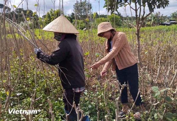 Chung tay giảm nghèo cho các buôn làng ở Lâm Đồng