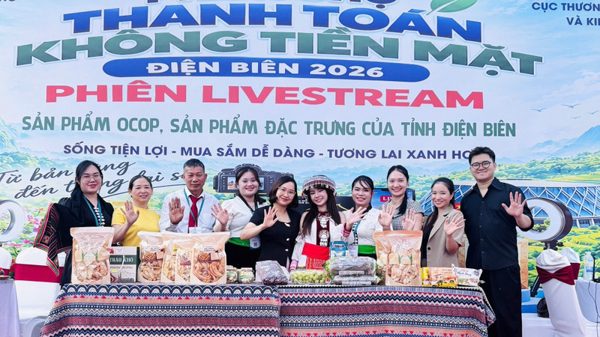 Chung tay hỗ trợ doanh nghiệp, hộ kinh doanh Việt tham gia thương mại điện tử