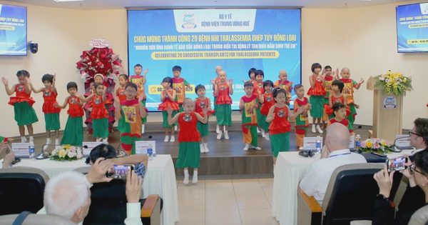 Chuyên gia quốc tế ghi nhận thành công ghép tế bào gốc chữa ung thư ở Huế