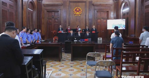 Chuyên án ma túy VN10: 11 án tử hình cho 'trùm' cầm đầu, phân phối, tiêu thụ