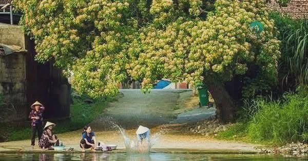 Chuyện cây bún đẹp như tranh bên dòng sông quê hương Đại tướng Võ Nguyên Giáp