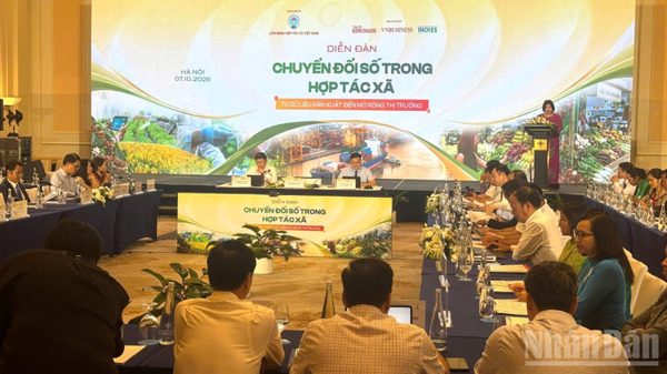 Chuyển đổi số trong Hợp tác xã: Từ dữ liệu sản xuất đến mở rộng thị trường
