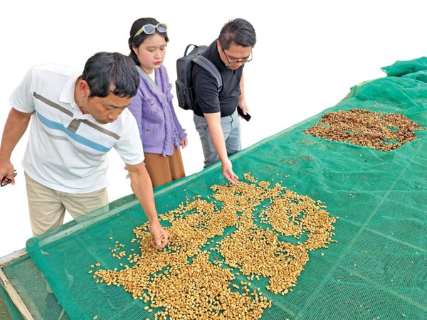 Chuyển đổi xanh nâng sức cạnh tranh