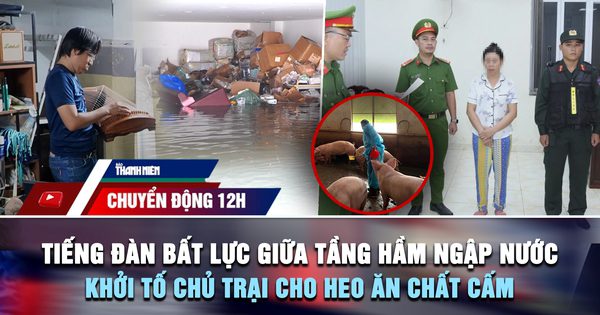 Chuyển động 12h: Tiếng đàn bất lực giữa tầng hầm ngập nước | Khởi tố chủ trại cho heo ăn chất cấm