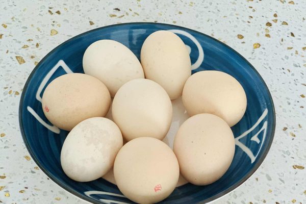 Chuyên gia an toàn thực phẩm giải đáp có nên rửa trứng trước khi nấu