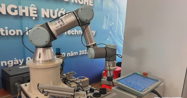 Chuyên gia chỉ ra 3 nhóm nghề khó bị thay thế trước làn sóng AI