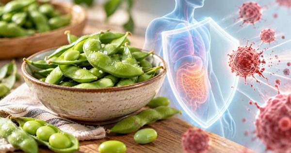 Chuyên gia gợi ý loại đậu có thể giúp giảm nguy cơ ung thư