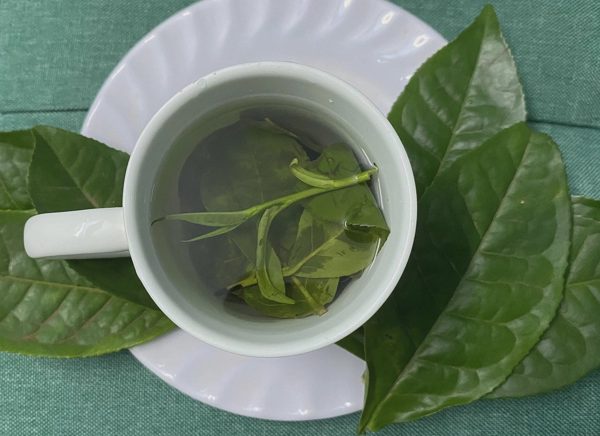 Chuyên gia gợi ý thức uống buổi sáng tốt cho thận