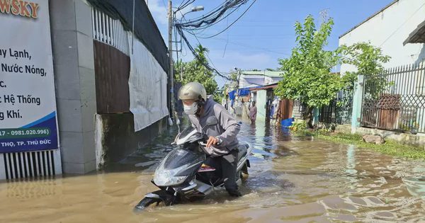 Chuyên gia hiến kế để TPHCM thoát ngập