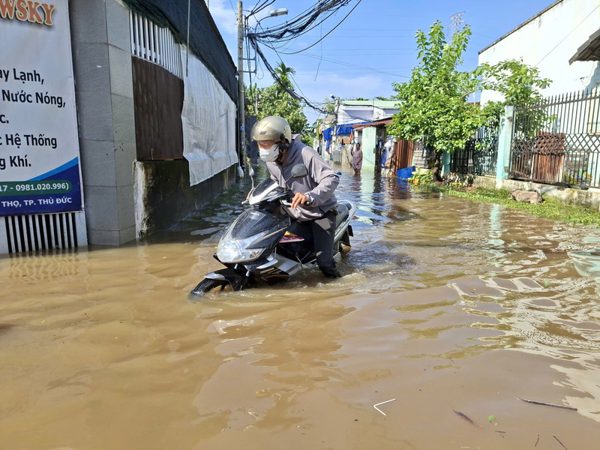 Chuyên gia hiến kế để TPHCM thoát ngập