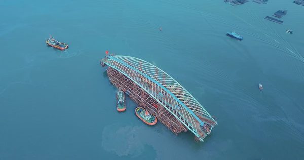 Chuyến hải trình đặc biệt đưa 'lá dừa nước' ngàn tỉ vượt 124 km đường sông về Bến Bạch Đằng