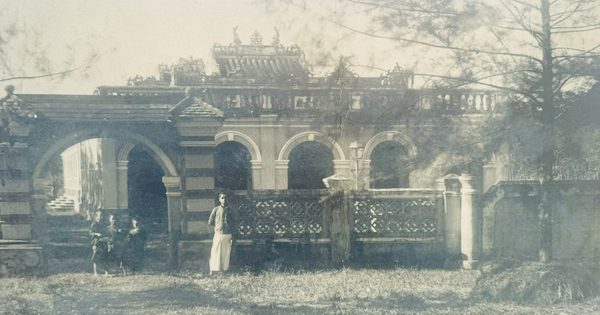 Chuyện mở cõi Nam bộ thời 'dưới sông sấu lội, trên rừng cọp đua'