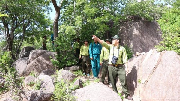 Chuyện những người giữ rừng, giữ bình yên cho muôn loài