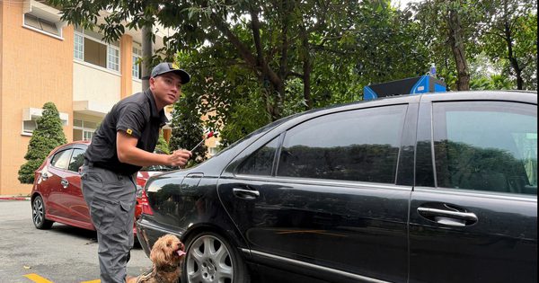 Chuyện về những cảnh khuyển đặc biệt bảo vệ yếu nhân