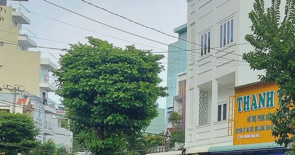 Clip chồng đánh vợ giữa đường tại Quy Nhơn: Công an vào cuộc