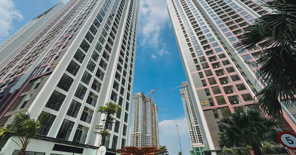 Có 3 tỷ đồng, người trẻ nên mua chung cư hay tiếp tục đi thuê nhà?