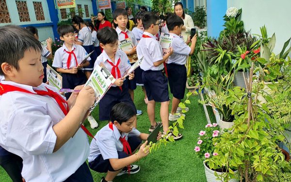 Có bao nhiêu khoản thu ngoài học phí ở trường công TP.HCM?