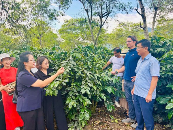 Cơ cấu lại vùng sản xuất, phát triển kinh tế nông nghiệp