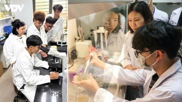 Cơ chế đặc thù thu hút nhân tài dữ liệu