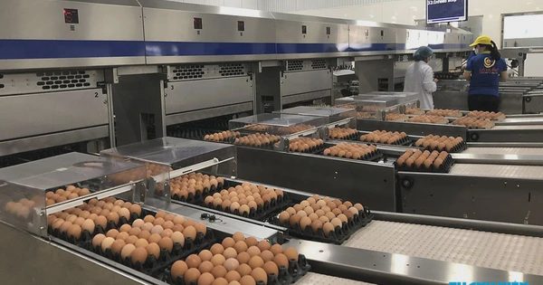 Có dễ mua tài sản ngân hàng thanh lý?