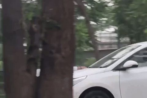 Cô gái đánh ghen chặn đầu ô tô, bị bạn trai lái xe đâm hất lên nắp ca-pô