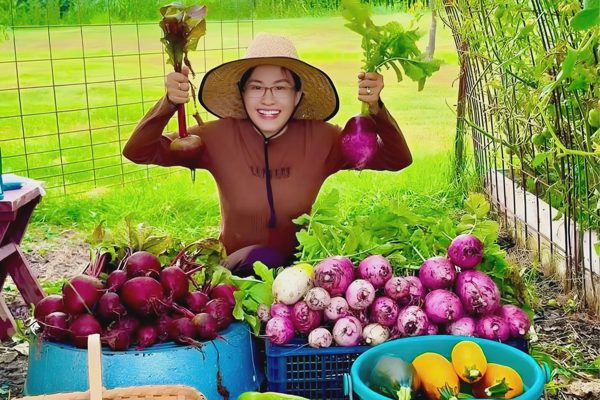 Cô gái Việt trồng rau, làm vườn 100m2 trên đất Mỹ để đỡ nhớ nhà
